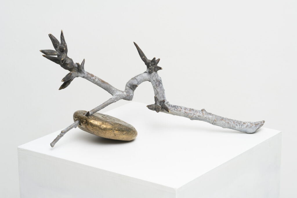 Stone&branch birch - Hieke Luik